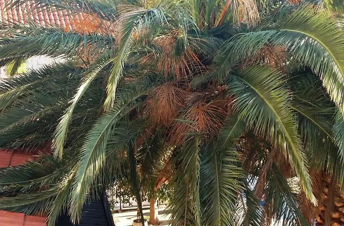 Pensjonat Center Helena