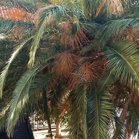 게스트하우스 Center Helena